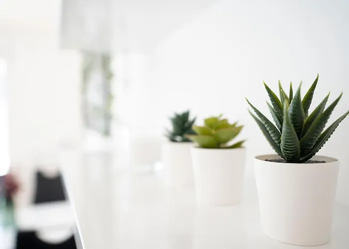 Baltic Seaside * Sierksdorf